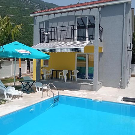 House With Pool - Mitrovic Βίλα Χέρτσεγκ Νόβι Εξωτερικό φωτογραφία